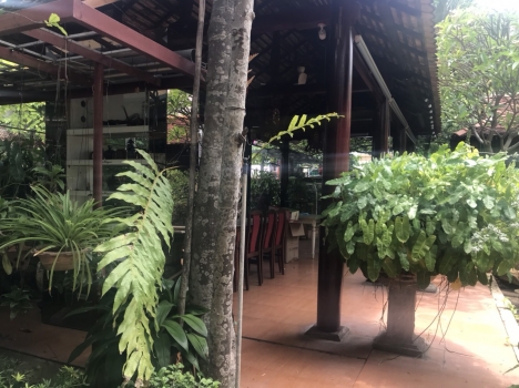 Cho thuê biệt thự sân vườn diện tích siêu lớn gần trường Cao Đẳng Du Lịch hẻm Trương Công Định P.8 T