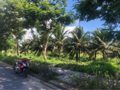 Siêu phẩm Biệt Thự 3 mặt tiền fpt city Đà Nẵng giá đẹp