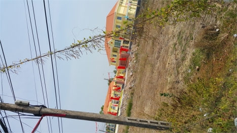 Bán 1100m2 ONT ấp Tân Quí, xã Tân Tập, Cần giuộc, HH 100tr.