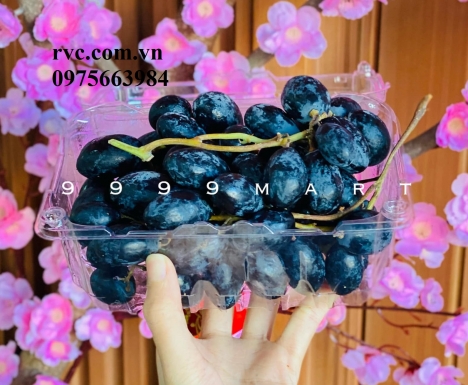 Hộp nhựa trái cây bảo quản nho tươi an toàn, tiện lợi