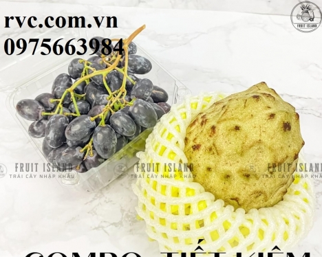 Hộp nhựa trái cây bảo quản nho tươi an toàn, tiện lợi