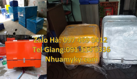 Thùng giữ nhiệt xe máy,  Thùng chở hàng giá rẻ, thanh lý thùng chở hàng, Thùng chở hàng sau xe máyTh