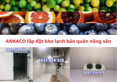 Thi công kho lạnh bảo quản nông sản giá tốt
