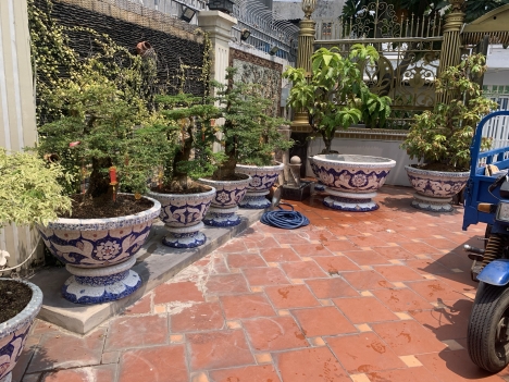 Cơ sở chậu hoa thế sơn - chậu hoa dán sành sứ - chậu khảm sành - cẩn miễng sanh