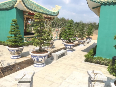 chậu hoa dán sành sứ Cơ sở chậu hoa Thế Sơn - chậu hoa dán sành sứ - chậu khảm sành - cẩn miễng sanh
