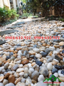 Làm sao Sử dụng sỏi để trang trí sân vườn đẹp hơn