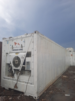 Container lạnh trữ đông âm sâu 35 độ