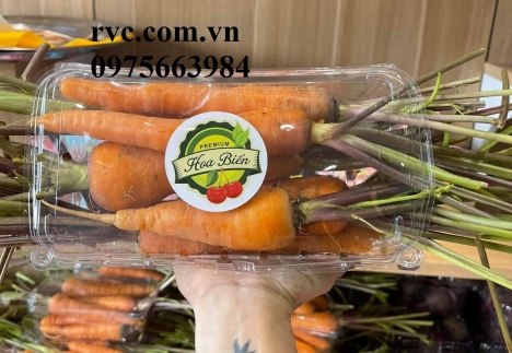 Bỏ túi những mẫu hộp nhựa trái cây cao cấp, chính hãng