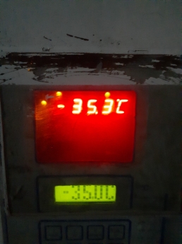 Container lạnh 20 feet cấp đông nhanh