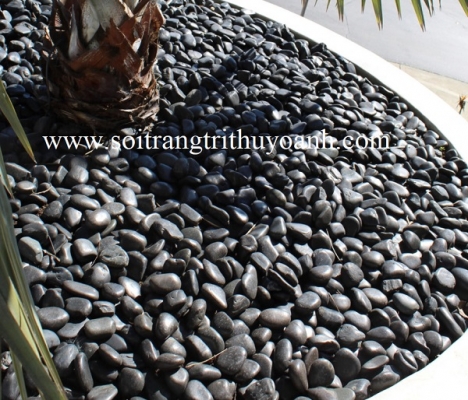 Sỏi đen bóng trang trí sân vườn tại TP.HCM
