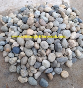 Sỏi trang trí sân vườn tại TP.HCM