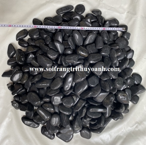Sỏi trang trí sân vườn tại TP.HCM