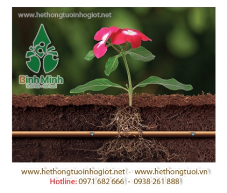 Phụ kiện tưới nhỏ giọt,đai khởi thủy,bịt ống pe,khớp nối ống,dùi đục lỗ tưới cây nhỏ giọt