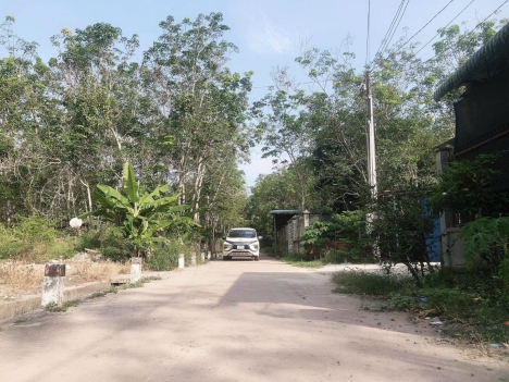 KHẮC PHỤC KINH DOANH THUA LỖ HẬU VOVID - CHÍNH CHỦ CẦN BÁN GẤP ĐẤT SÀO TẠI BÌNH LONG - BÌNH PHƯỚC