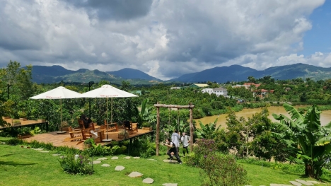 KHẮC PHỤC KINH DOANH THUA LỖ HẬU VOVID - CHÍNH CHỦ CẦN BÁN GẤP ĐẤT SÀO TẠI BÌNH LONG - BÌNH PHƯỚC