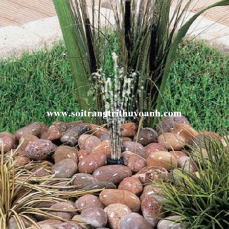 Sỏi trang trí chậu cây tại TP.HCM