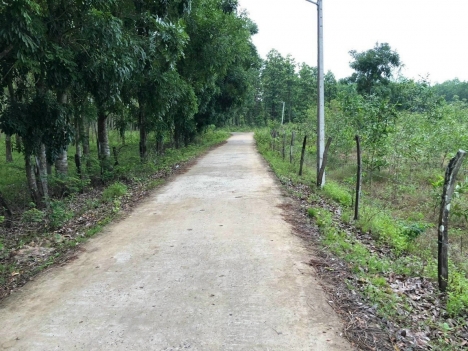 KHẮC PHỤC KINH DOANH THUA LỖ HẬU VOVID - CHÍNH CHỦ CẦN BÁN GẤP ĐẤT SÀO TẠI BÌNH LONG - BÌNH PHƯỚC
