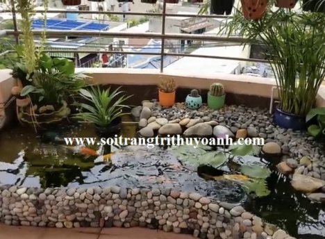 Sỏi trang trí hồ cá tại TP.HCM