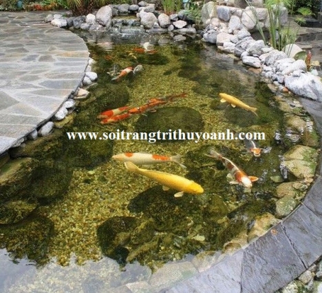 Sỏi trang trí hồ cá tại TP.HCM