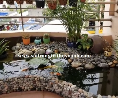 Sỏi trang trí hồ cá tại TP.HCM