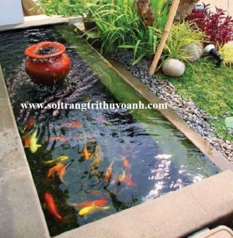 Sỏi trang trí hồ cá tại TP.HCM