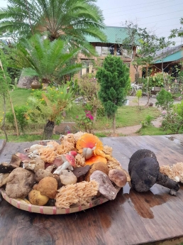 Bán nhà biệt thự nghỉ dưỡng Lý Thường Kiệt