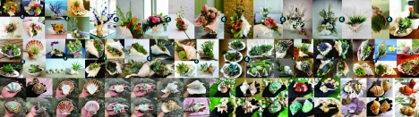 Mỹ Nghệ Ốc Biển - Vỏ Ốc Vỏ Sò Biển decor trang trí nhà cửa, quà tặng