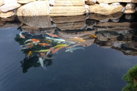 Bán nhà biệt thự nghỉ dưỡng Lý Thường Kiệt