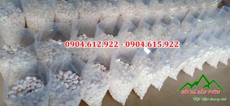 Sỏi trắng quay trang trí sân vườn tiểu cảnh - Địa chỉ bán sỏi trắng quay tại Hà Nội