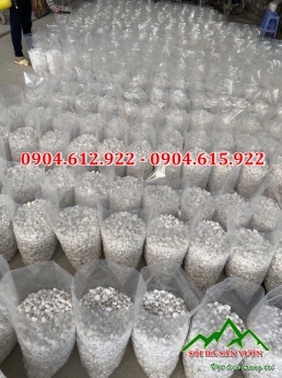 Sỏi trắng quay trang trí sân vườn tiểu cảnh - Địa chỉ bán sỏi trắng quay tại Hà Nội