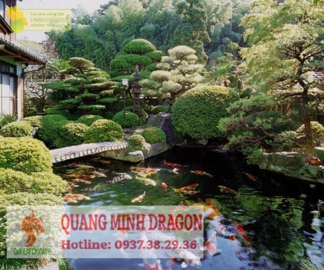 Các chi phí thi công hồ cá Koi mini, ngoài trời, sân thượng