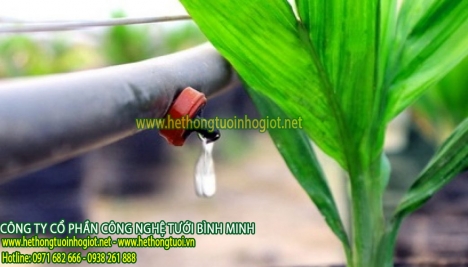Dây pe nhỏ giọt azud, ống pe 16mm, ống mềm tưới nhỏ giọt azud