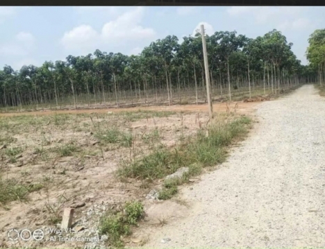 Nợ Dí Cần Ra Nhanh Lô Đất 200m2 Tại Chơn Thành Giá Nhỉnh 700tr