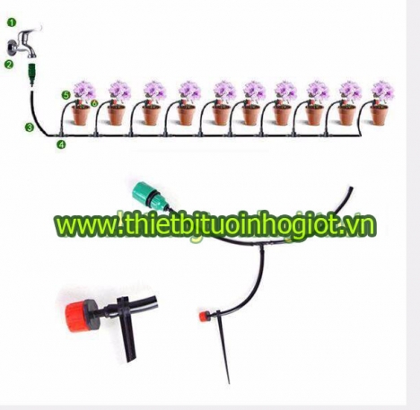 Tưới nhỏ giọt, hệ thống tưới nhỏ giọt, thiết bị tưới nhỏ giọt, tưới nhỏ giọt Azud