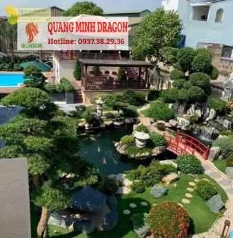 Thiết kế thi công bể cá Koi bảo hành  5 năm