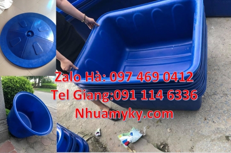 thùng nhựa vuông 750 lít, thùng nhựa chữ nhật giá rẻ, Thùng nhựa dung tích lớn, thùng nuôi cá, th