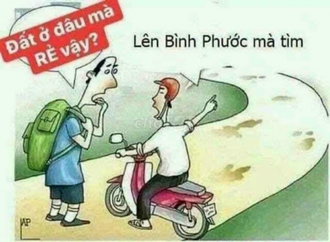 CẦN TIỀN TRẢ NỢ NGÂN HÀNG - CHÍNH CHỦ BÁN GẤP ĐẤT SÀO BÌNH PHƯỚC