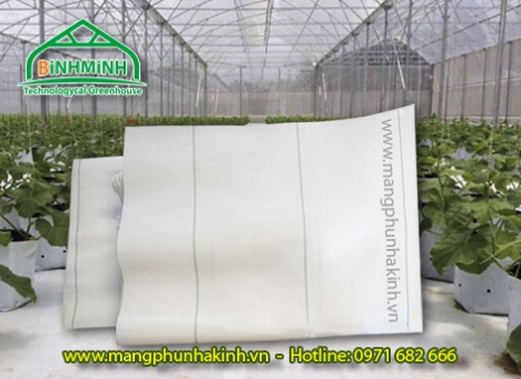 Bạt trải nền loại dày, báo giá bạt trải nền, bạt trải nền giá rẻ, bạt trải nền màu trắng