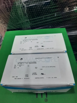 Hạt mạng RJ45 Cat5 Cat6 Commscope/Amp hàng loại xin giá tốt