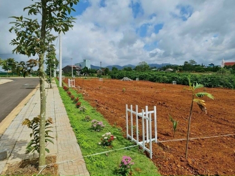 Mở bán nền đất Khu Biệt Thự Nghĩ Dưỡng Sam Hills Bảo Lộc, Từ 1 Đến 3 Mặt Tiền, Vị Trí Đẹp, SHR