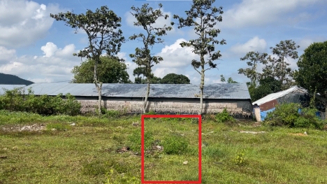 Bán đất (5x24,70m2 thổ cư ) trung tâm thị trấn Liên nghĩa - Đức trọng - Lâm đồng