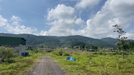 Bán đất (5x24,70m2 thổ cư ) trung tâm thị trấn Liên nghĩa - Đức trọng - Lâm đồng