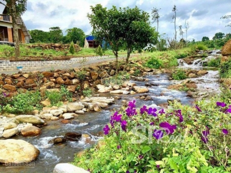 CHÍNH CHỦ BÁN ĐẤT ĐỊNH QUÁN - ĐỒNG NAI