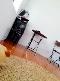 Bán duy nhất căn 1 lầu hẻm đề thám trung tâm quận 1