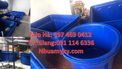 thùng nhựa dung tích lớn màu xanh, thùng chữ nhật đựng bột ngô, Thùng nhựa vuông 750 lít đựng văn