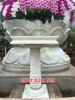 Hà Nội 001 Mẫu cây hương đá xanh rêu