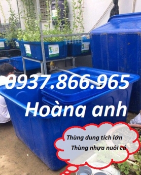 Sản xuất thùng dung tích lớn , thùng nhựa chữ nhật 750l, thùng nhựa dùng chế biến thực phẩm đông lạn