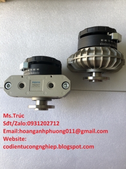 DSRL-40-180-P-FW, FESTO, HÀNG NHẬP KHẨU