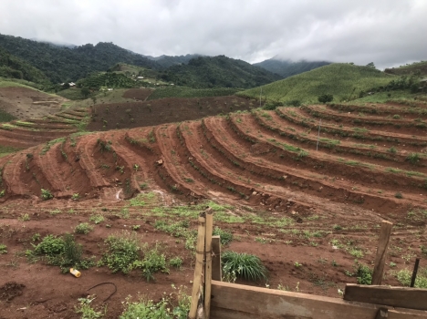 BÁN ĐẤT MỘC CHÂU, VIEW ĐẸP, DIỆN TÍCH RỘNG THÍCH HỢP ĐẦU TƯ , LÀM KHU NGHỈ DƯỠNG GIÁ RẺ
