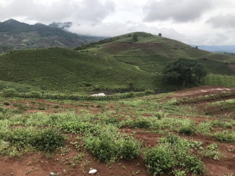 BÁN ĐẤT MỘC CHÂU, VIEW ĐẸP, DIỆN TÍCH RỘNG THÍCH HỢP ĐẦU TƯ , LÀM KHU NGHỈ DƯỠNG GIÁ RẺ
